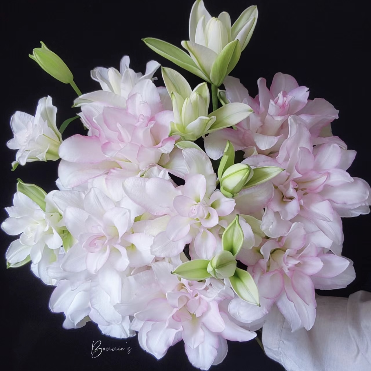 【藩篱匠人/A级冰美人】高级 水晶花瓣重瓣百合办公家养装饰鲜切花