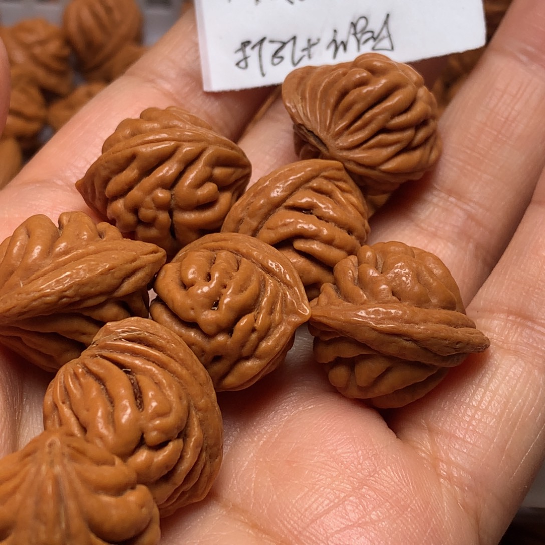 野生龙纹桃核肌肉纹