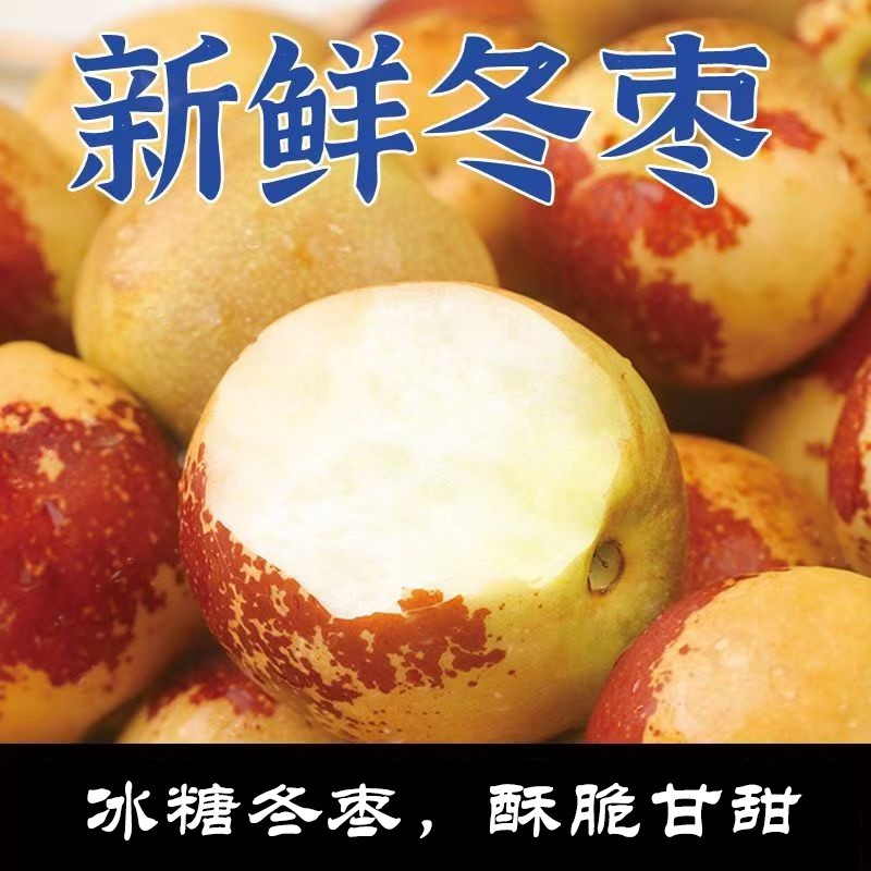 冬枣山东沾化现摘冬枣酥脆香甜自然成熟新鲜水果应季