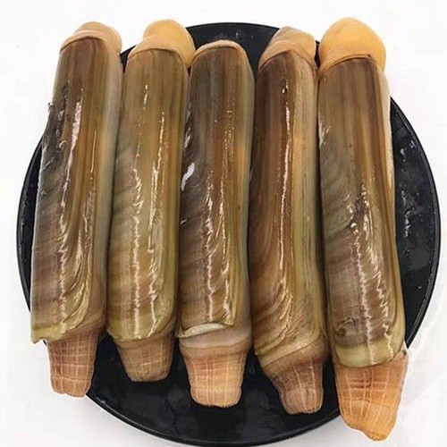 鲜活 蛏子王500g/份 （约5-10个）