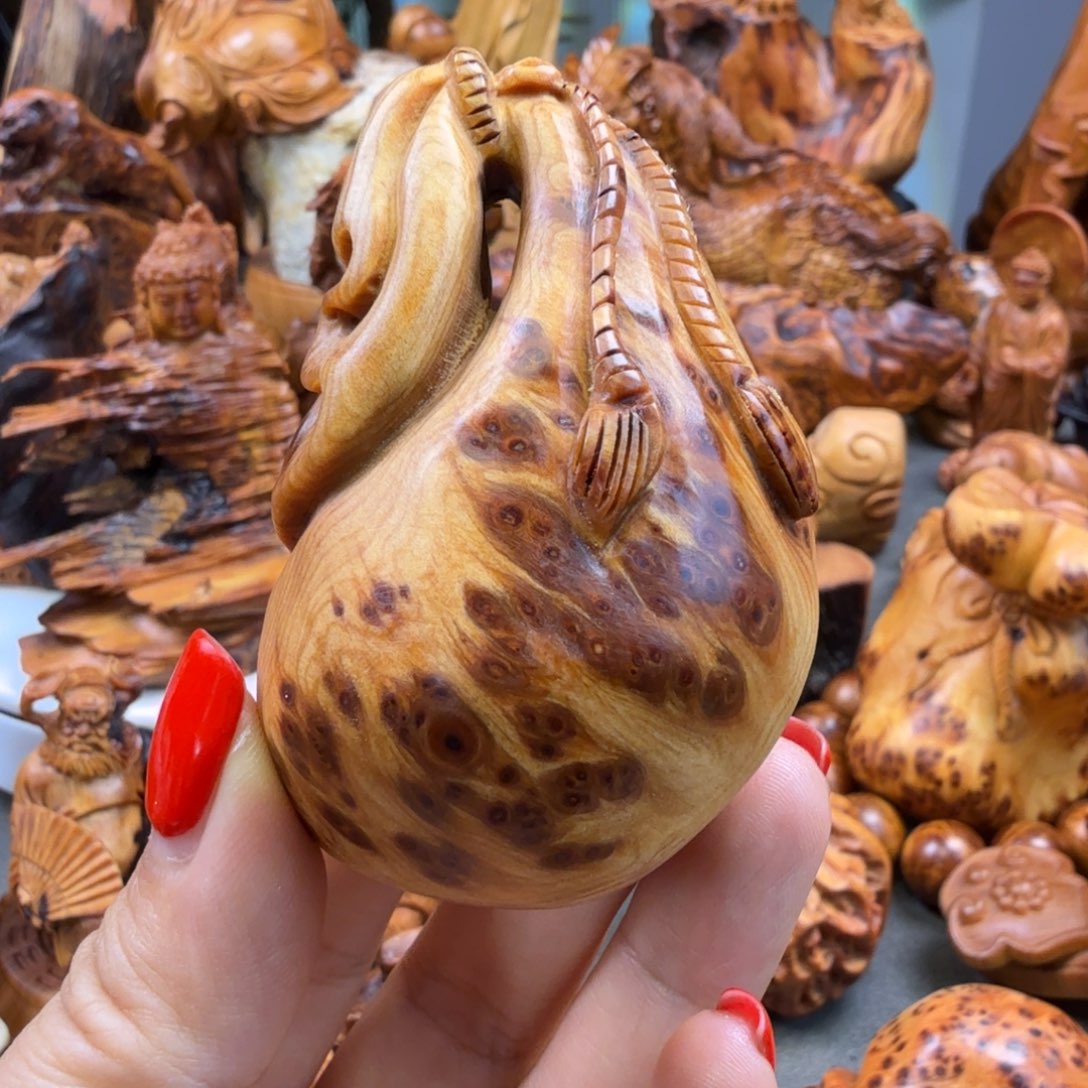 柏木钱袋手把瘤花