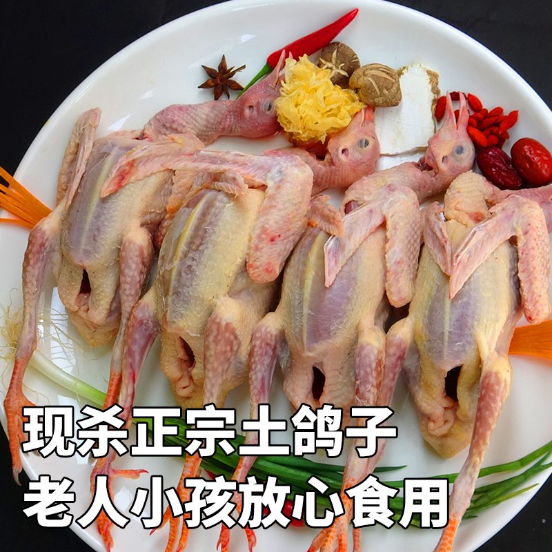4只2.8斤以上精品土鸽单只7--8两飞天鸽五谷杂粮鲜嫩现杀顺丰