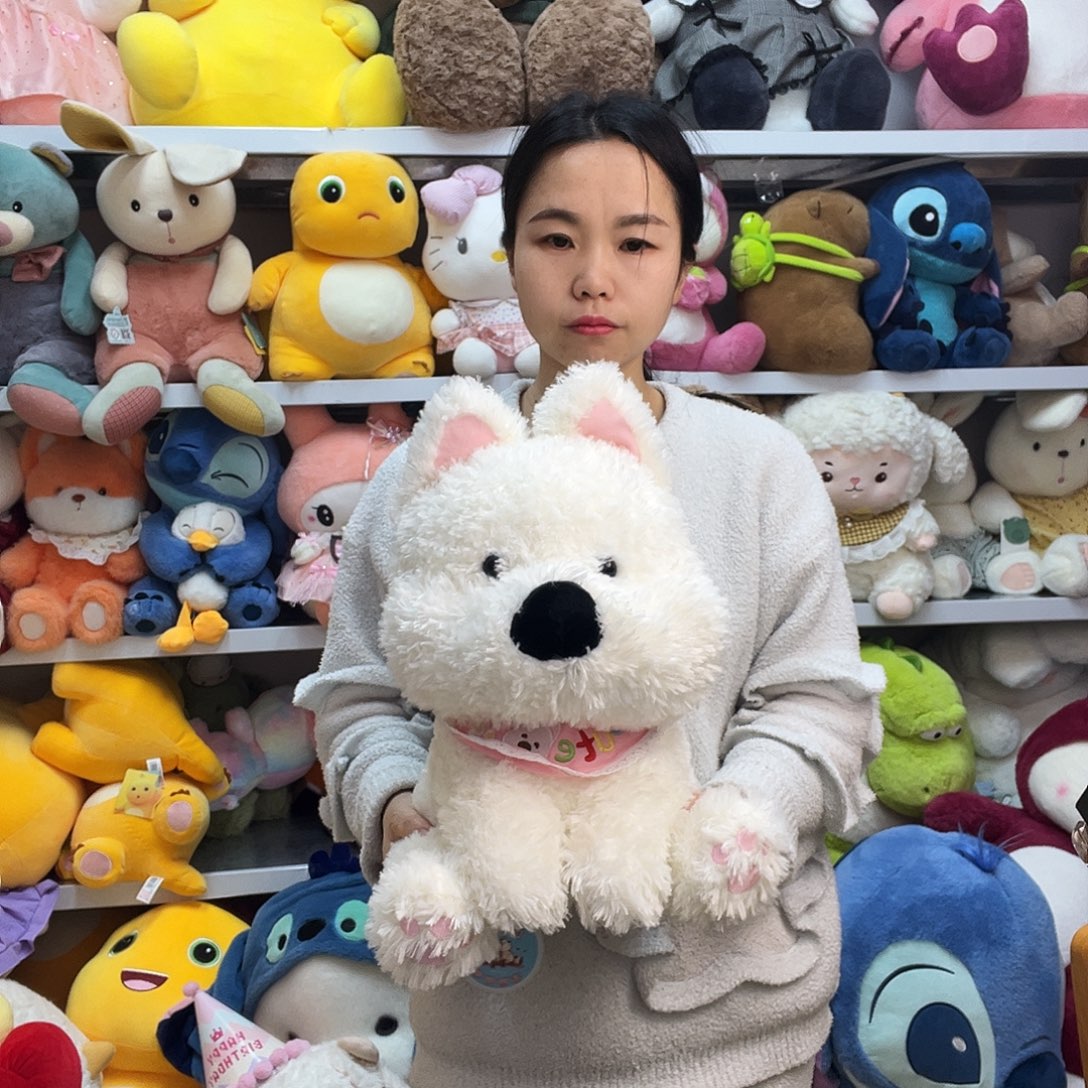 毛绒赛特嘟嘟小狗