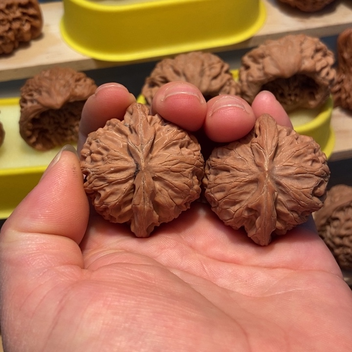 官方网站发布消息