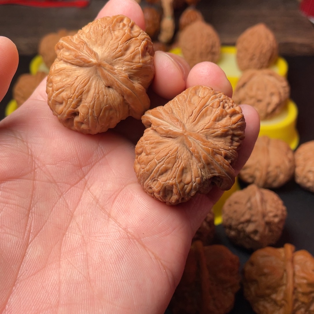 大叶紫檀（黑酸枝木类）非**.核农文玩感叹元宝