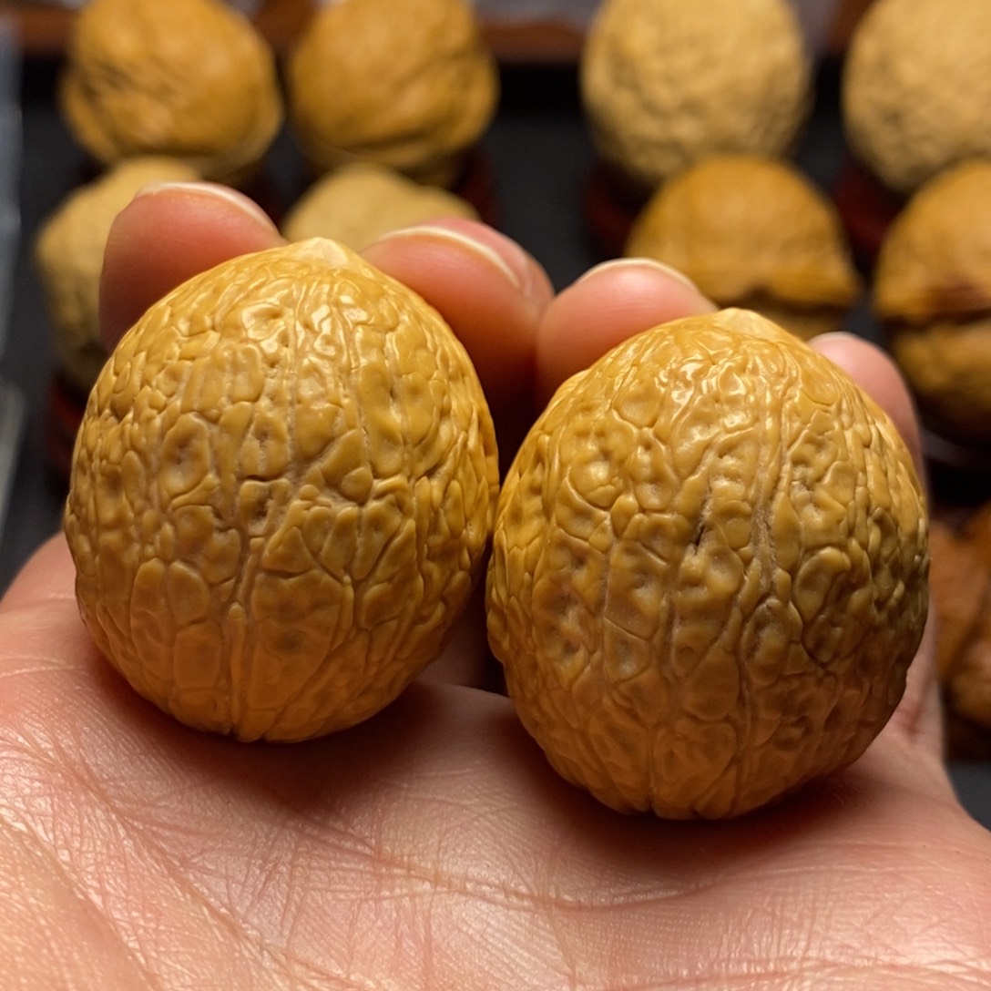 文玩核桃把件36尺莽纹元宝