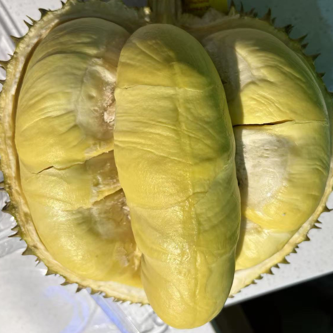 新鲜泰国金枕榴莲核小3-8斤榴莲一果一拍金枕泰国