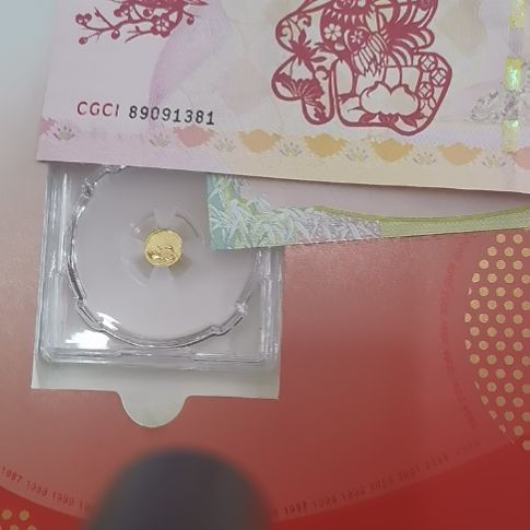 纯金2017熊猫金币一枚