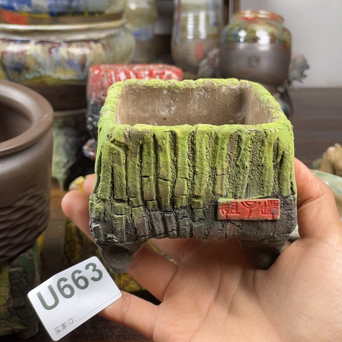 默认微次 元旦福利 坛子姐花盆