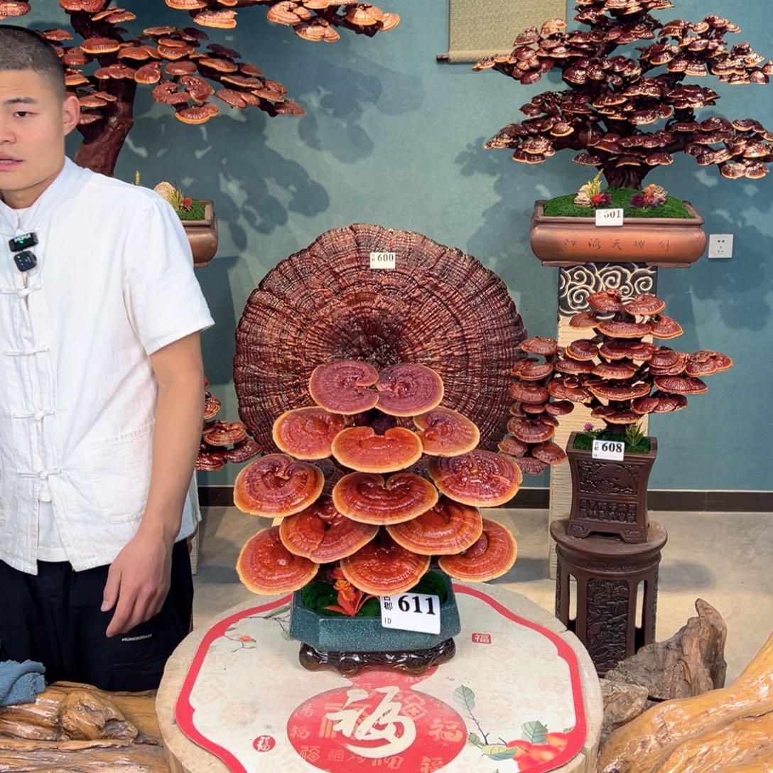 无花朵888888888888