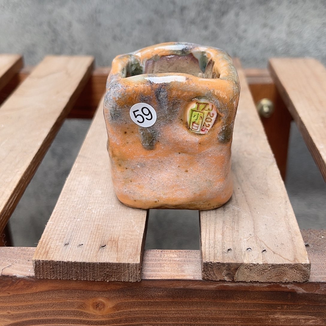 J***y小白孤品一组6个盆（2）