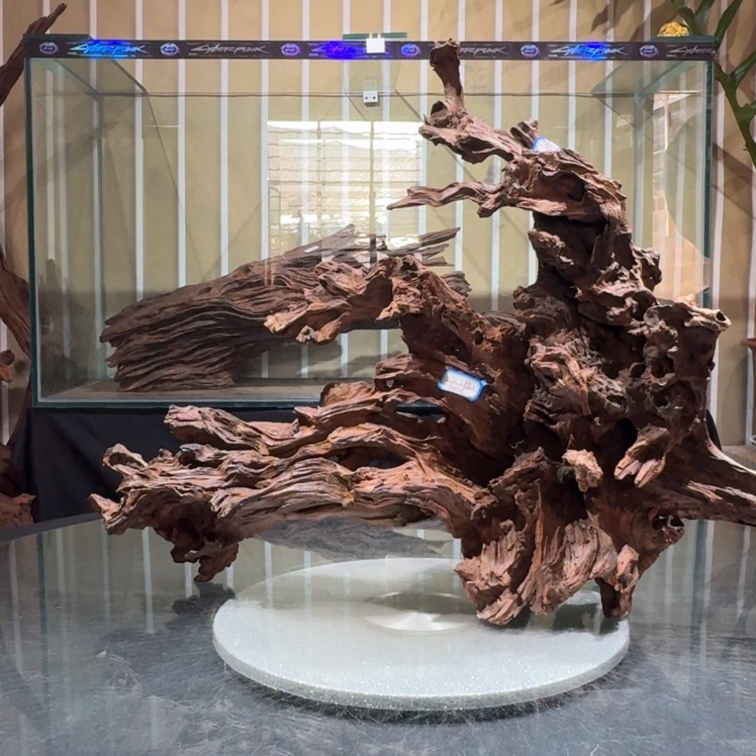 -***-香榧木一物一拍鱼缸造景