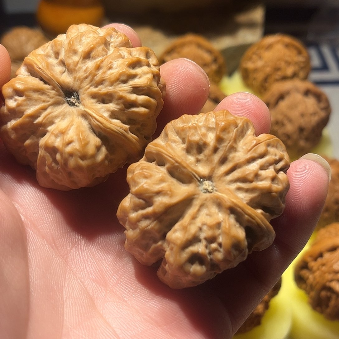 奥***卡核桃39尺蛤蟆头一对