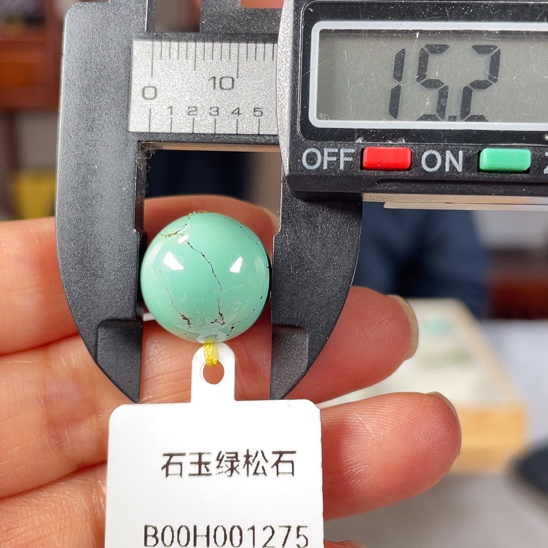 绿松石颈饰未镶嵌