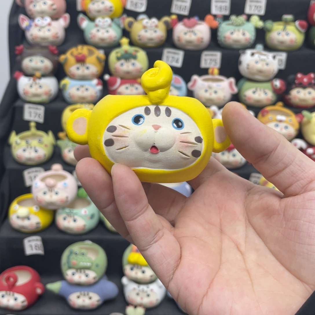 *****222222222222222222