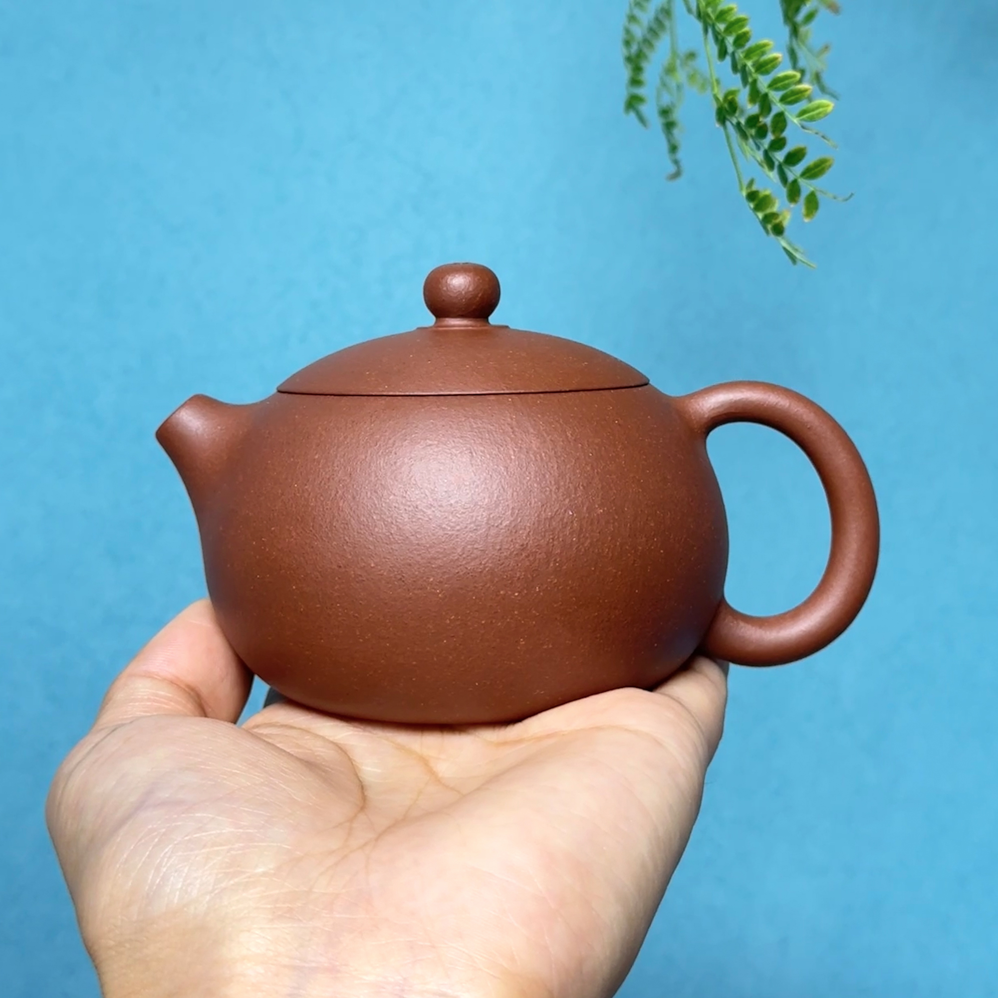 西施壶 全手工 210cc 原矿底槽青 全手工精美手制 紫砂壶