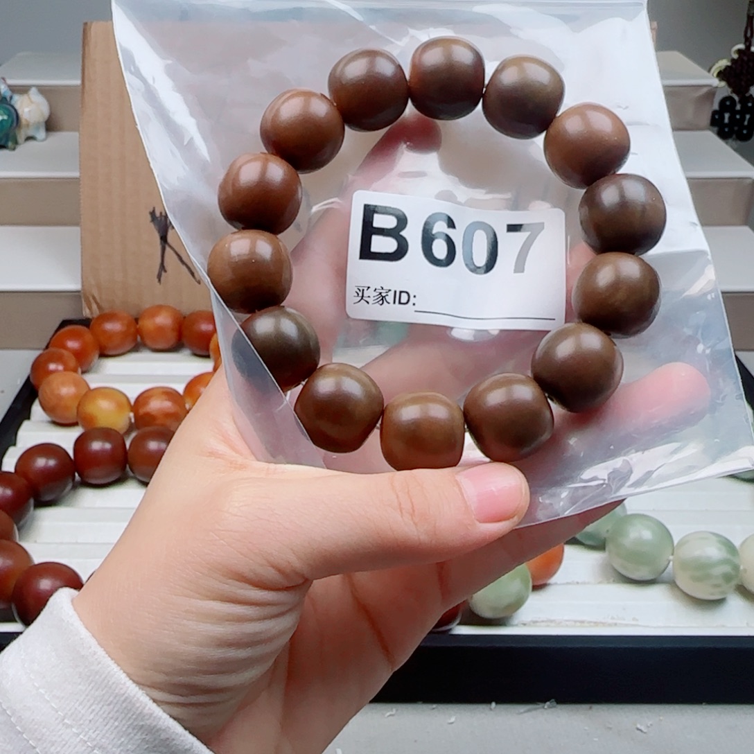 吊坠菩提根/象牙果菩提1.8