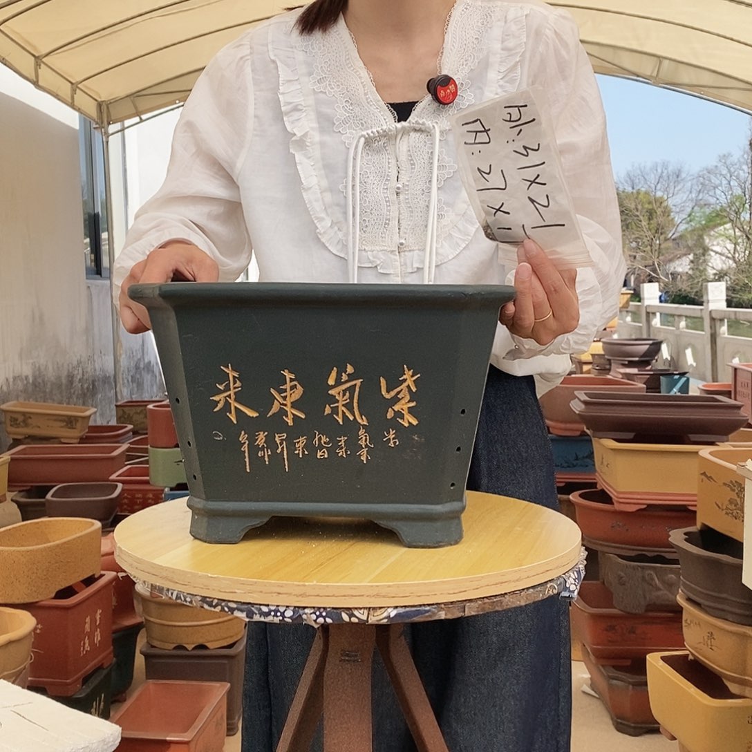 紫砂花盆紫砂花盆