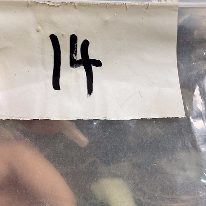 s***雨最美古村专属链接