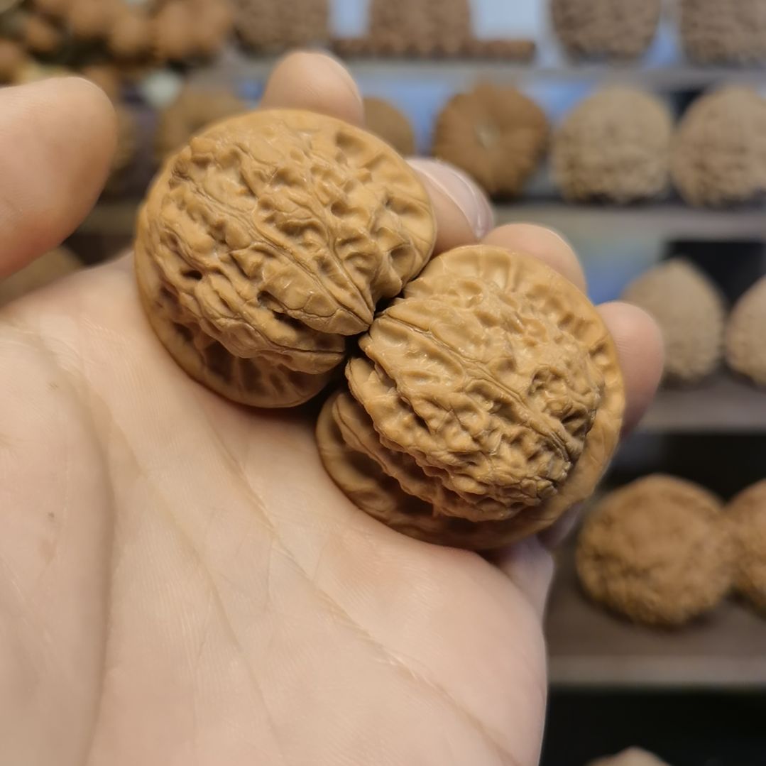 文玩核桃把件39全品血麒麟