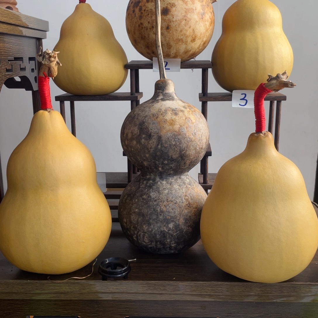 香榧木万**甜葫芦葫芦