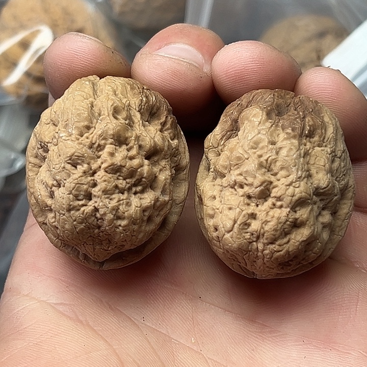 文玩核桃把件22号金刚佛手37尺