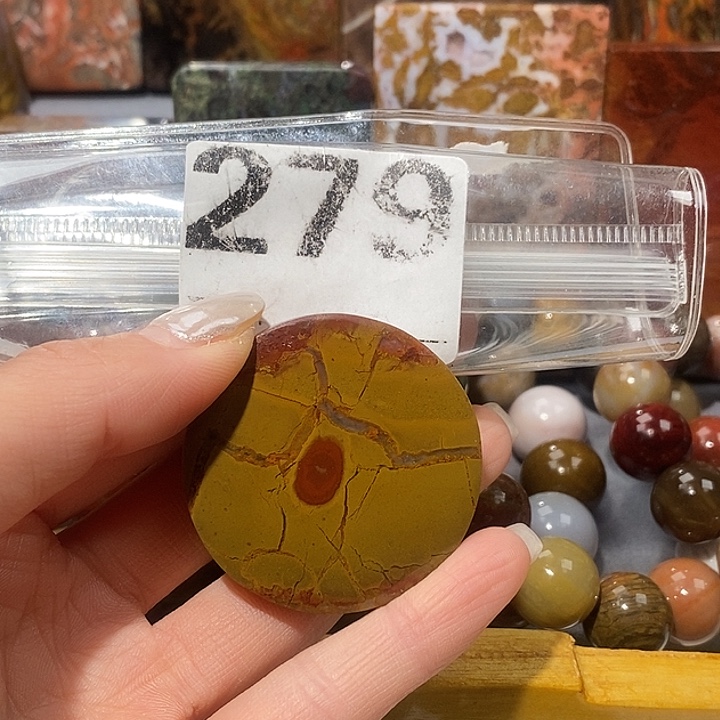 硅化玉未镶嵌天然北票树化玉吊坠