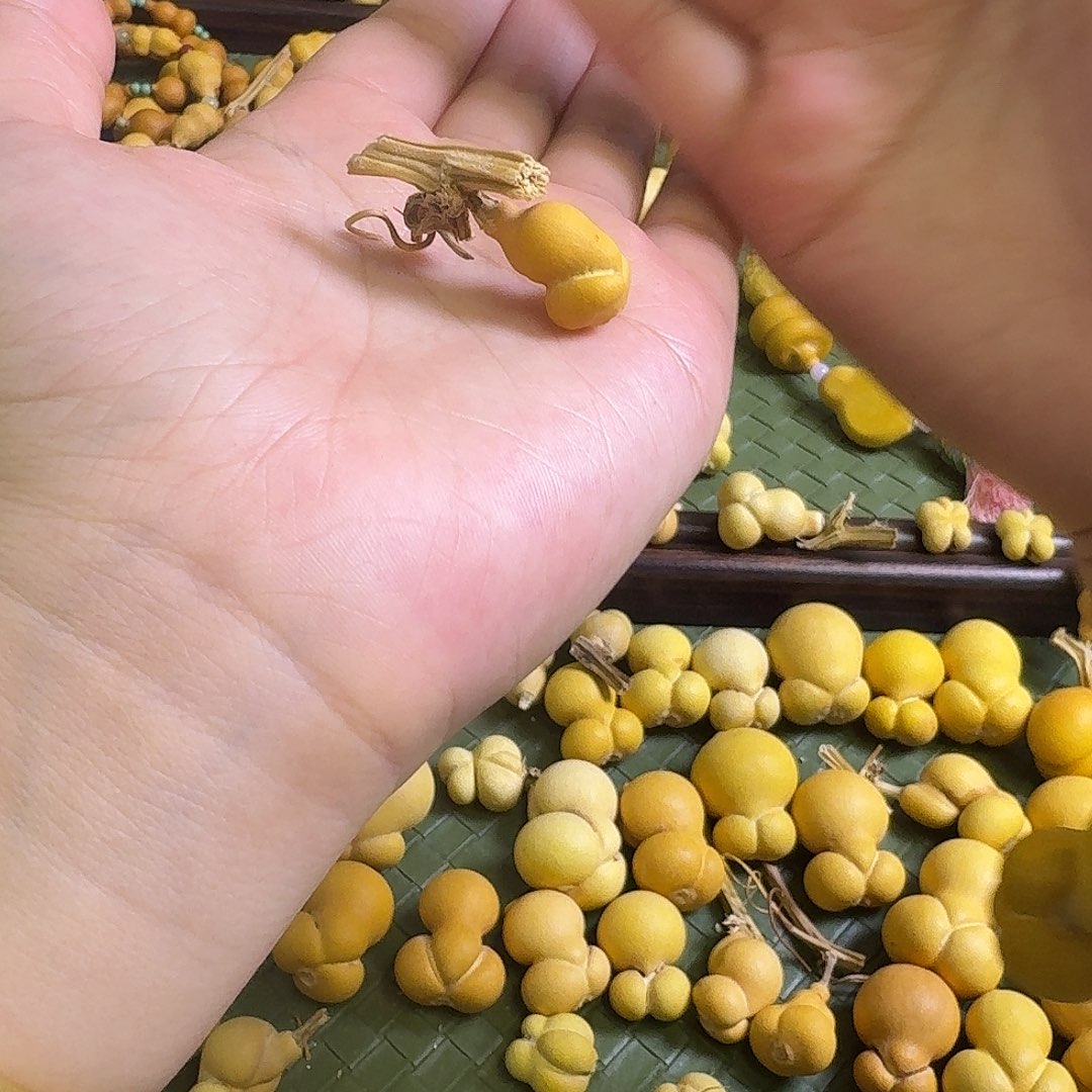 *****大叶紫檀（黑酸枝木类）