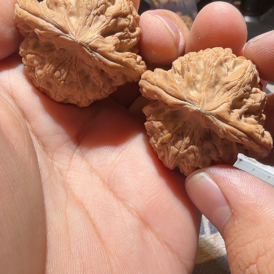 文玩核桃把件核王