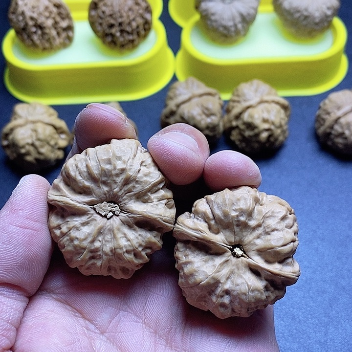 蛤蟆头福利款有微微黄尖012