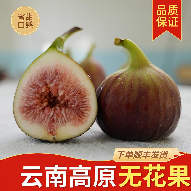 【顺丰快递】云南新鲜红皮无花果当季水果现摘现发香甜软糯