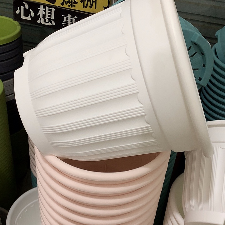 罗马口32高28白3个