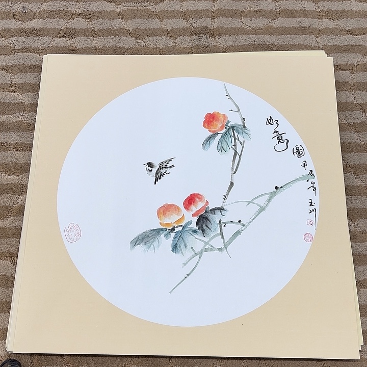 国画花鸟的翅膀和翅膀都50.50