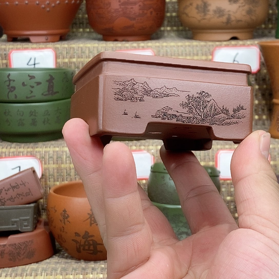 紫砂花盆我在等他