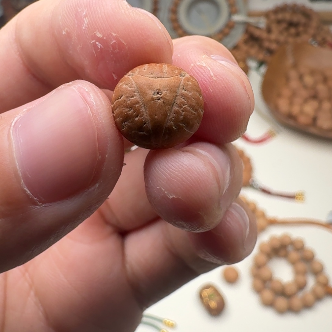 吊坠凤眼菩提龙眼12mm