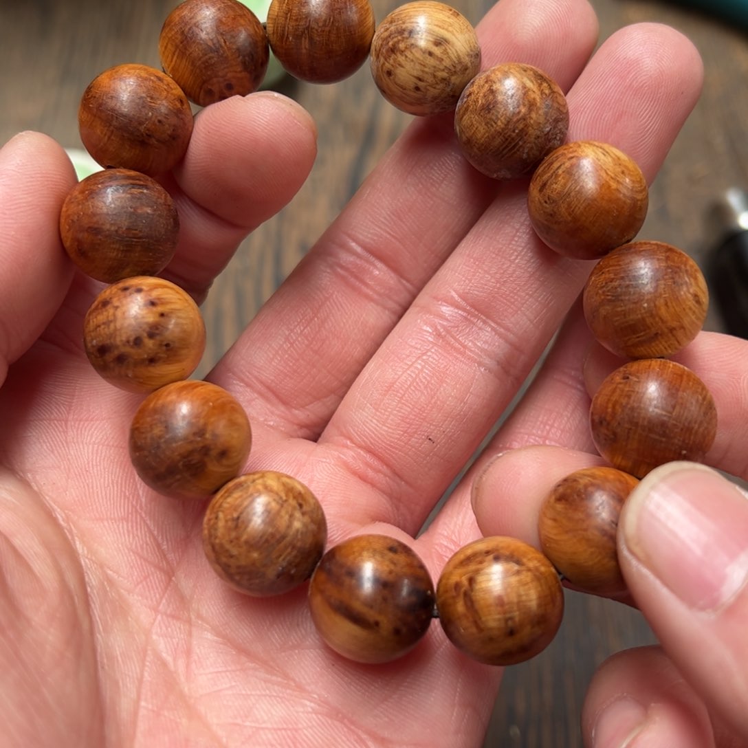 太行崖柏陈化太行