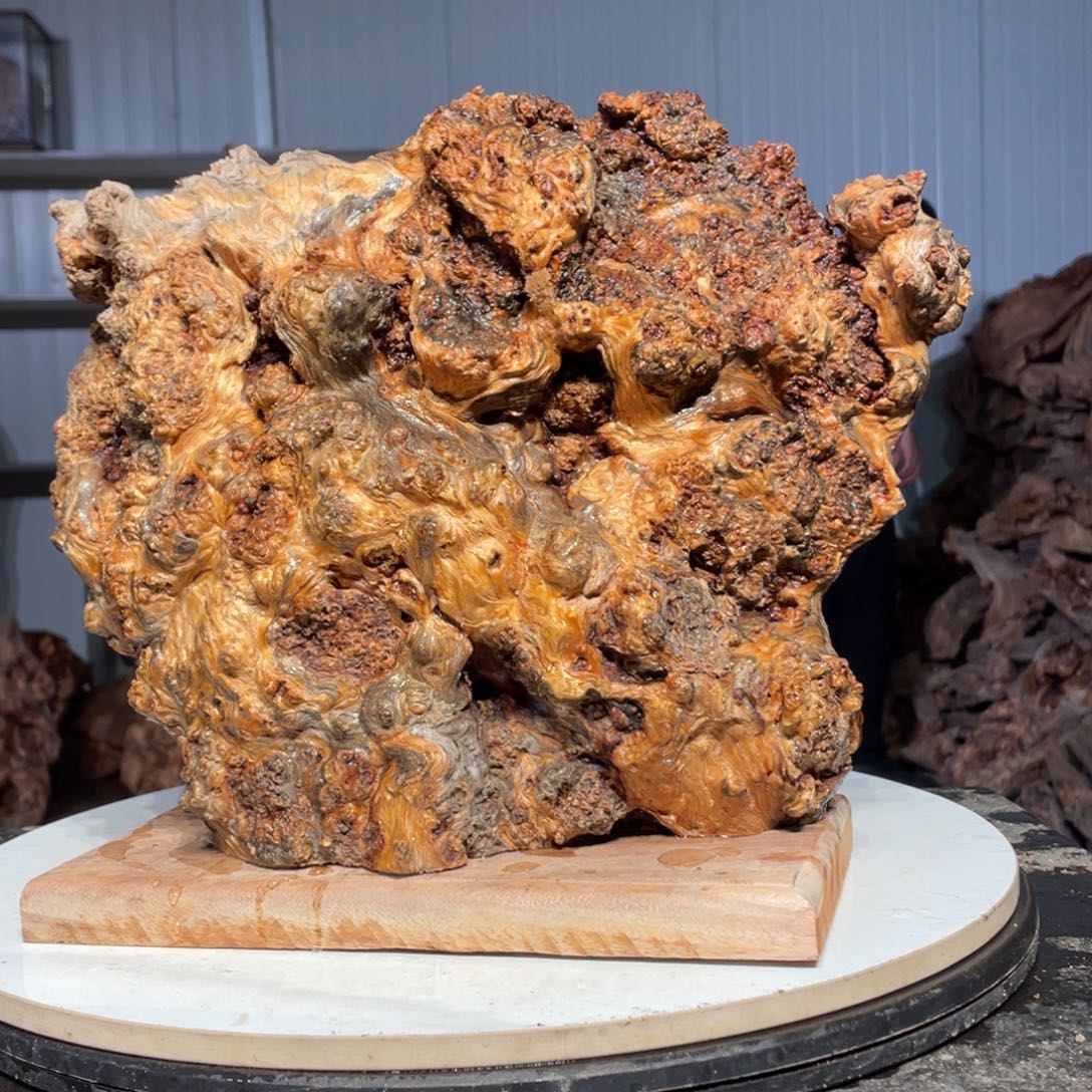 八***爷树脂＋木头猛子琥珀木摆件23