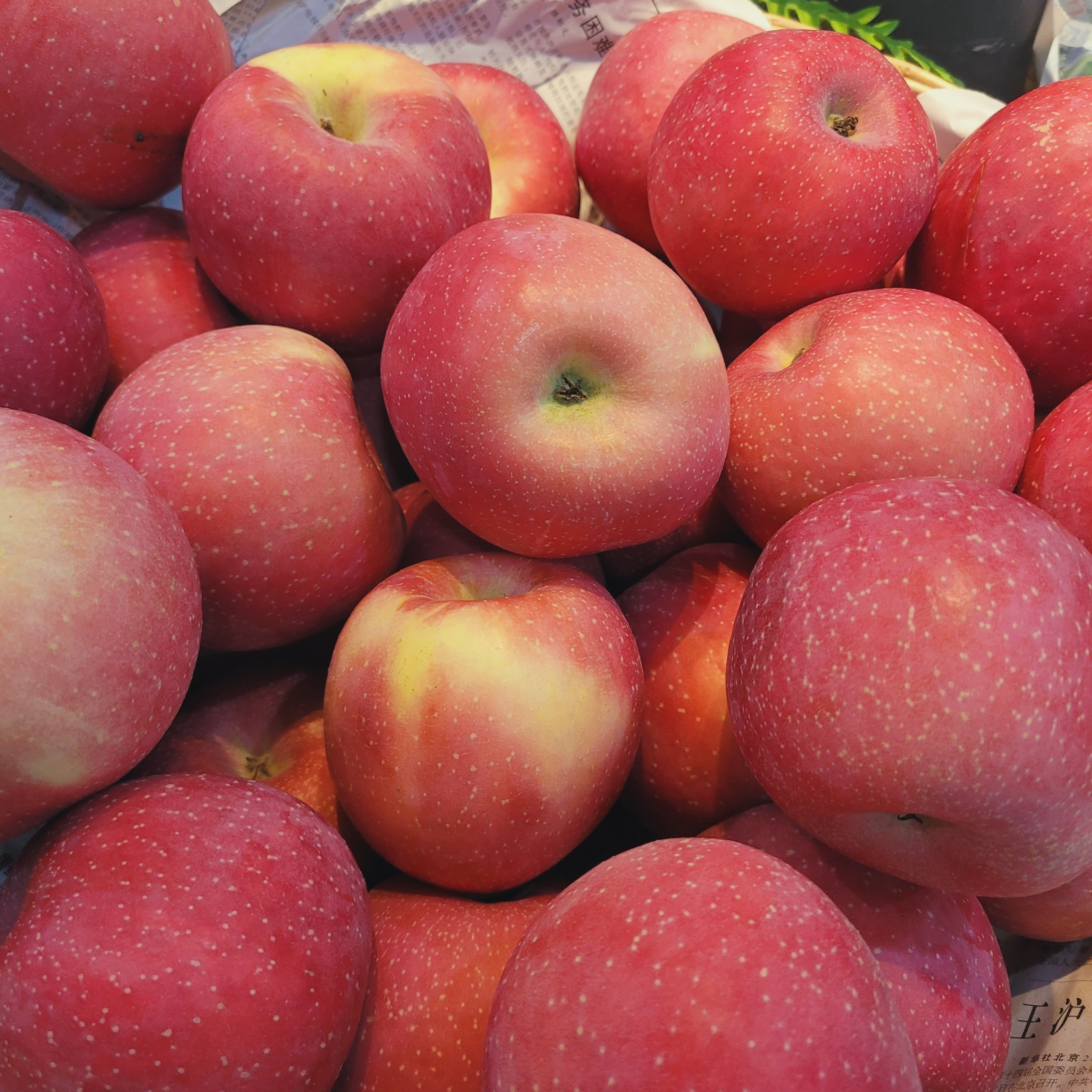 洛川红富士脆甜不打蜡新鲜多汁陕西省