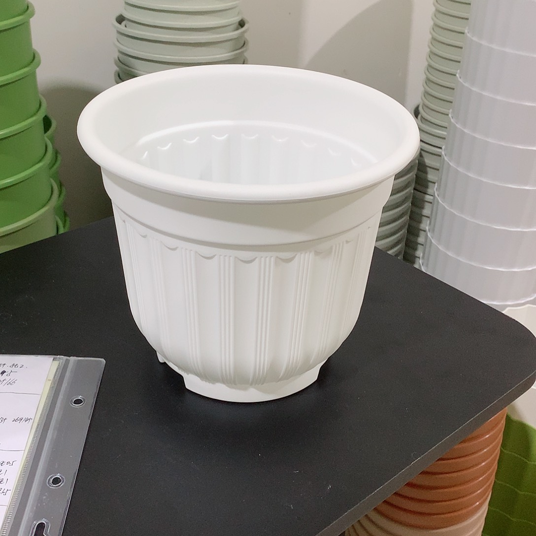 树脂罗马口21白4个无托