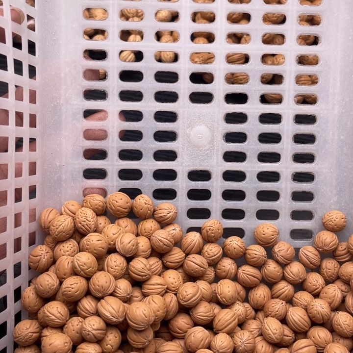 手串/手链核桃散发249元优惠活动