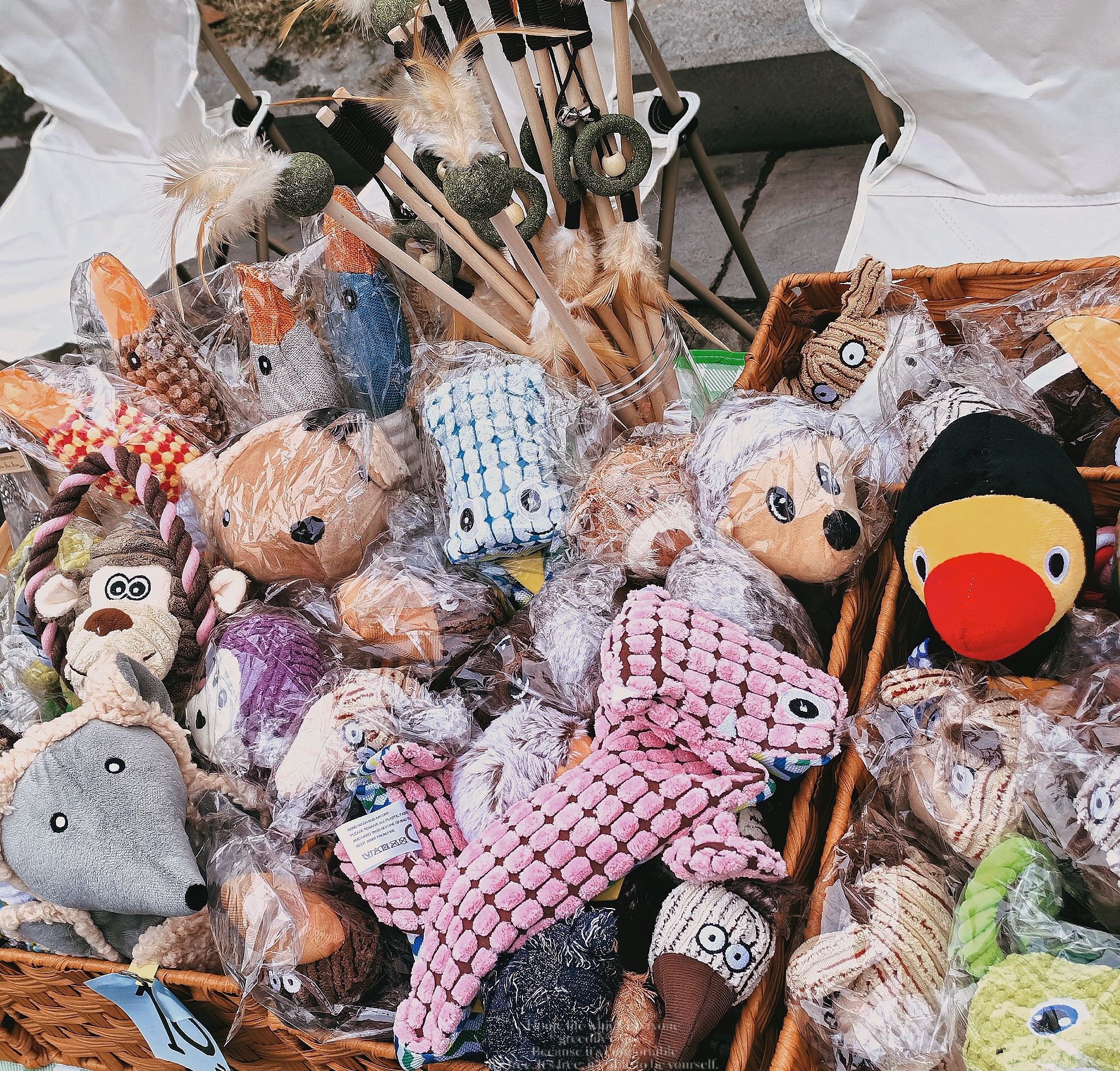 051宠物狗狗玩具直播间专用链接宠物磨牙藏食物品宠物用品