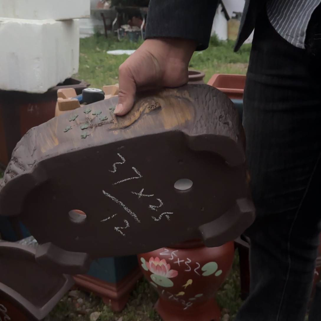 紫砂花盆盆景盆栽