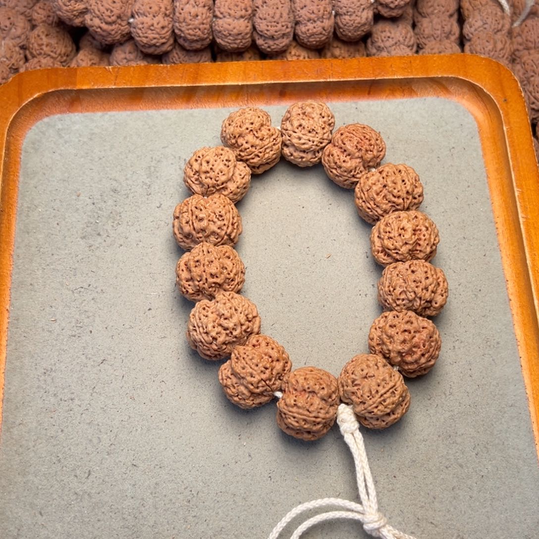 菩提20号金刚菩提古龙梅花24