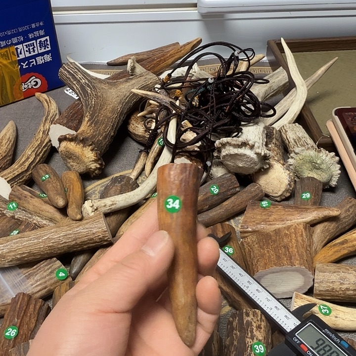 香榧木鹿角工艺品原料