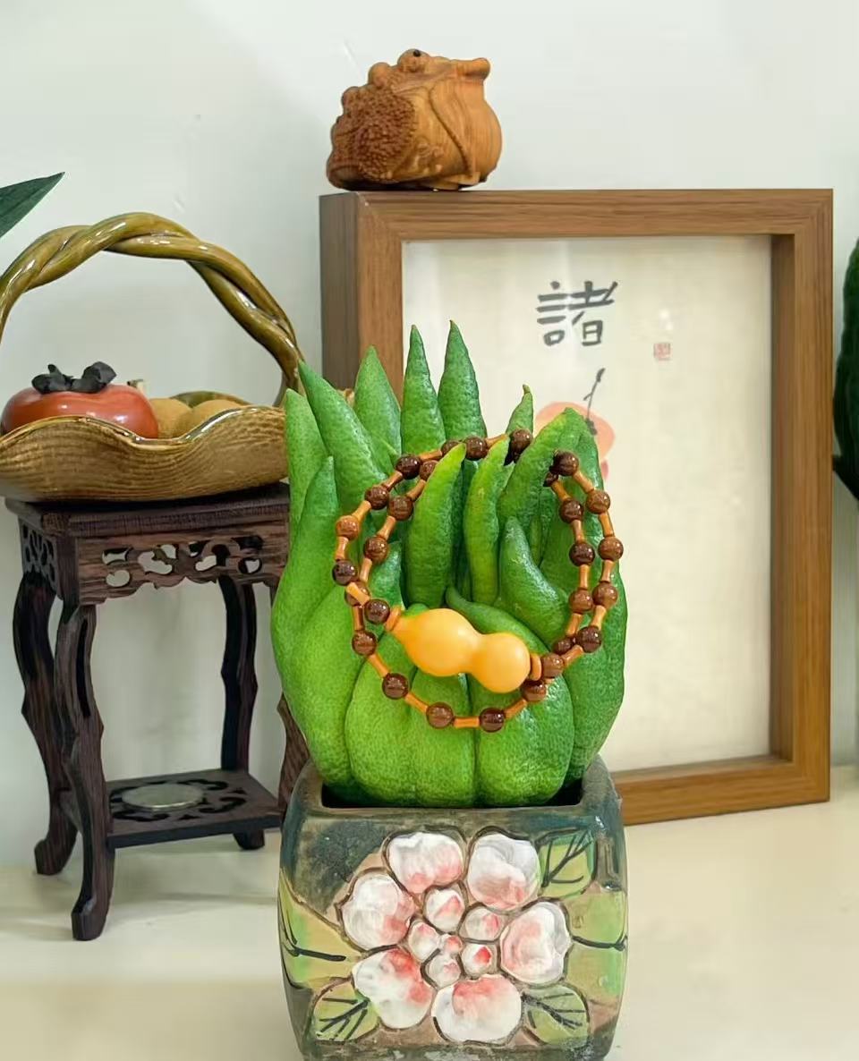 【精品佛手制定果王】精品植物 食用 观赏 清供礼佛 摆件 干养植物