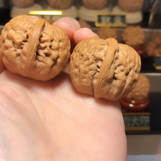 精品：野生甲骨文全品