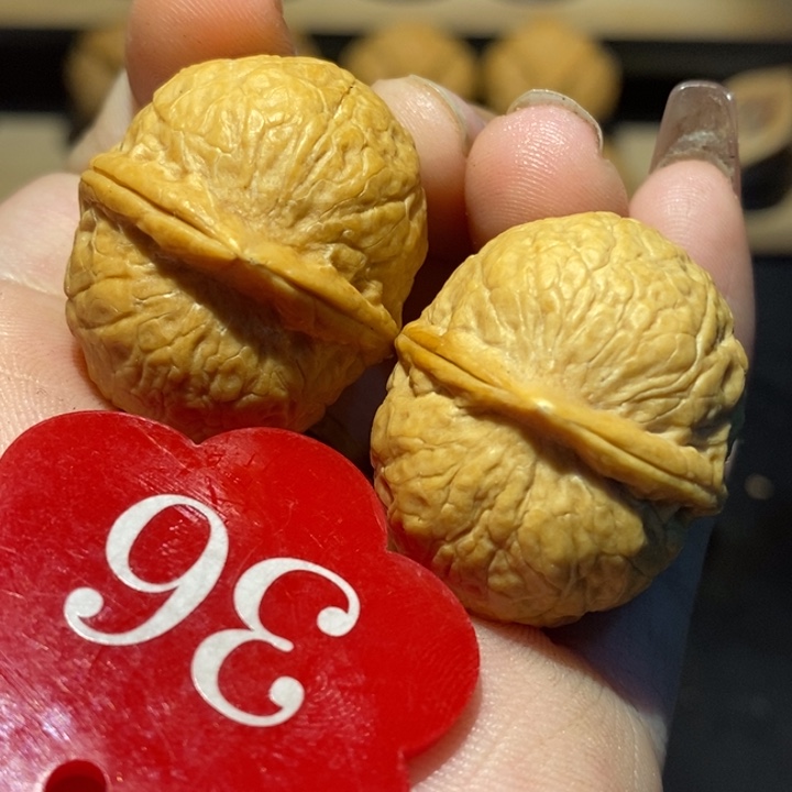 核桃龙珠31核桃尺寸