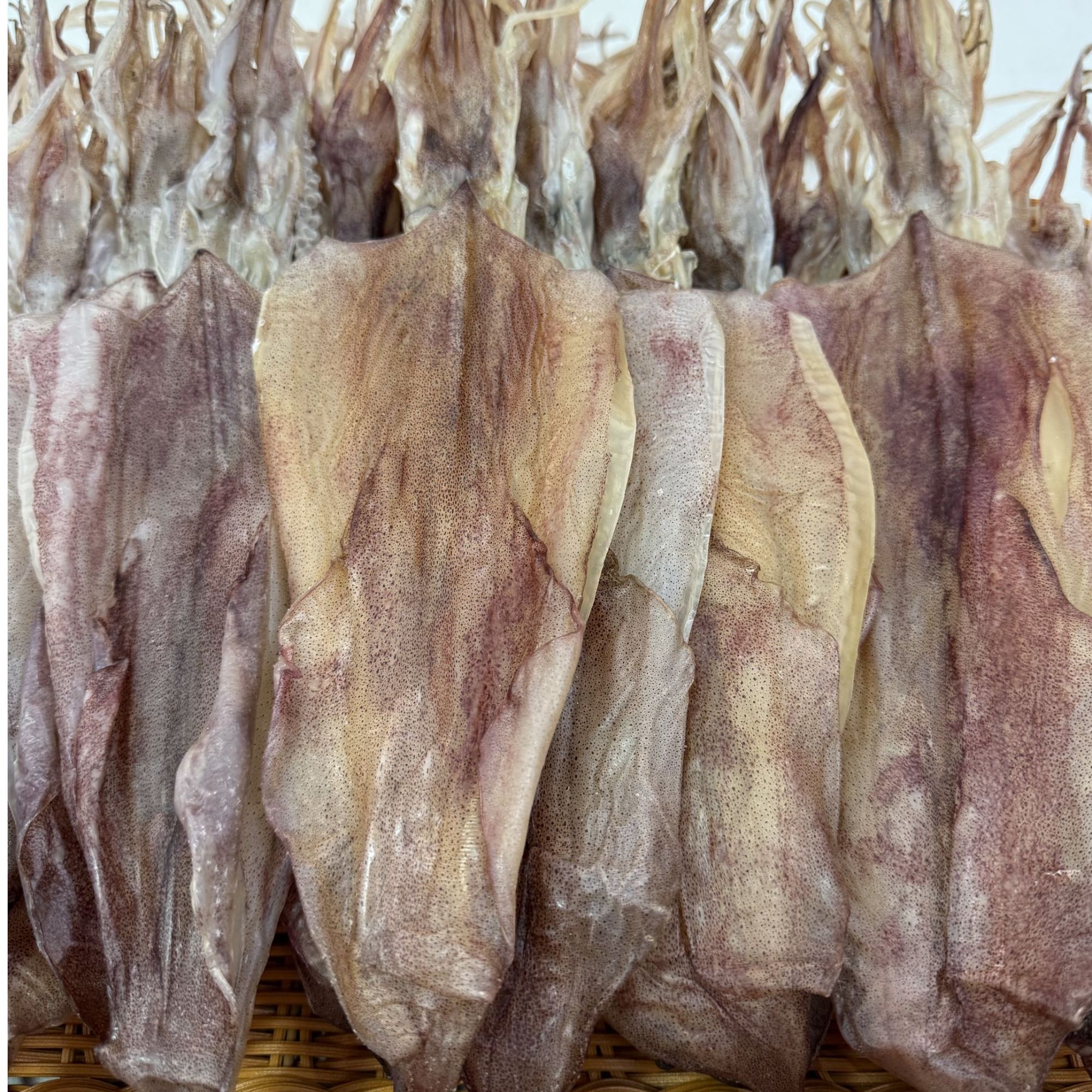 福建特产东山岛特大鱿鱼母