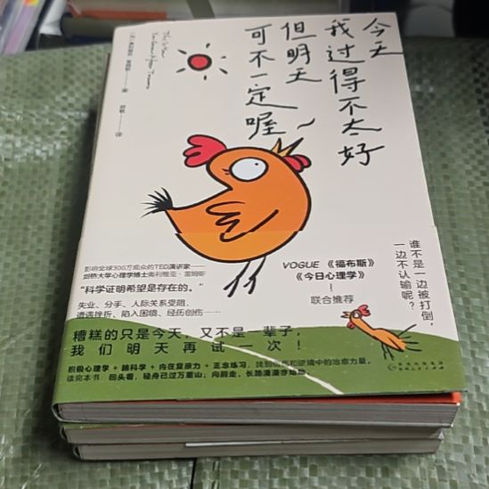 今天我过得不太好，但明天不一定哦