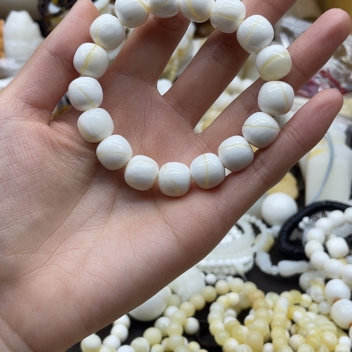 贝壳贝壳贝壳贝壳贝贝壳